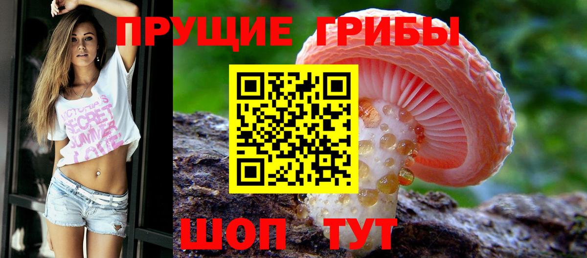 Мелеуз  Псилоцибиновые грибы Psilocybine cubensis  Вход с VPN  Галлюциногенные грибы Psilocybe 