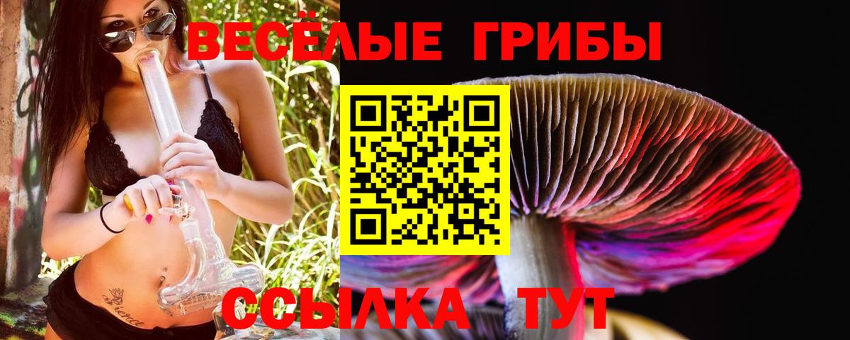 Псилоцибиновые грибы мицелий Мелеуз